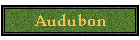 Audubon