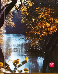 Alvord1979-003.jpg (815216 bytes)