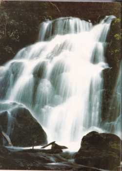 Alvord1976-146.jpg (1115153 bytes)