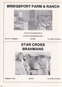 Alvord1976-131.jpg (818534 bytes)