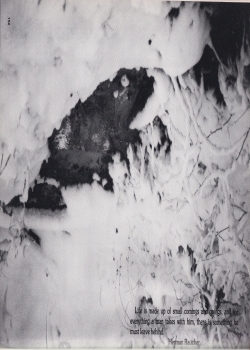 Alvord1976-133.jpg (796979 bytes)