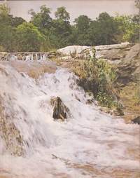 Boyd1970-003.jpg (684978 bytes)