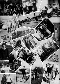 Boyd1966-012.jpg (708101 bytes)