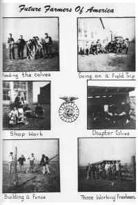 PHS1952-25.jpg (997418 bytes)